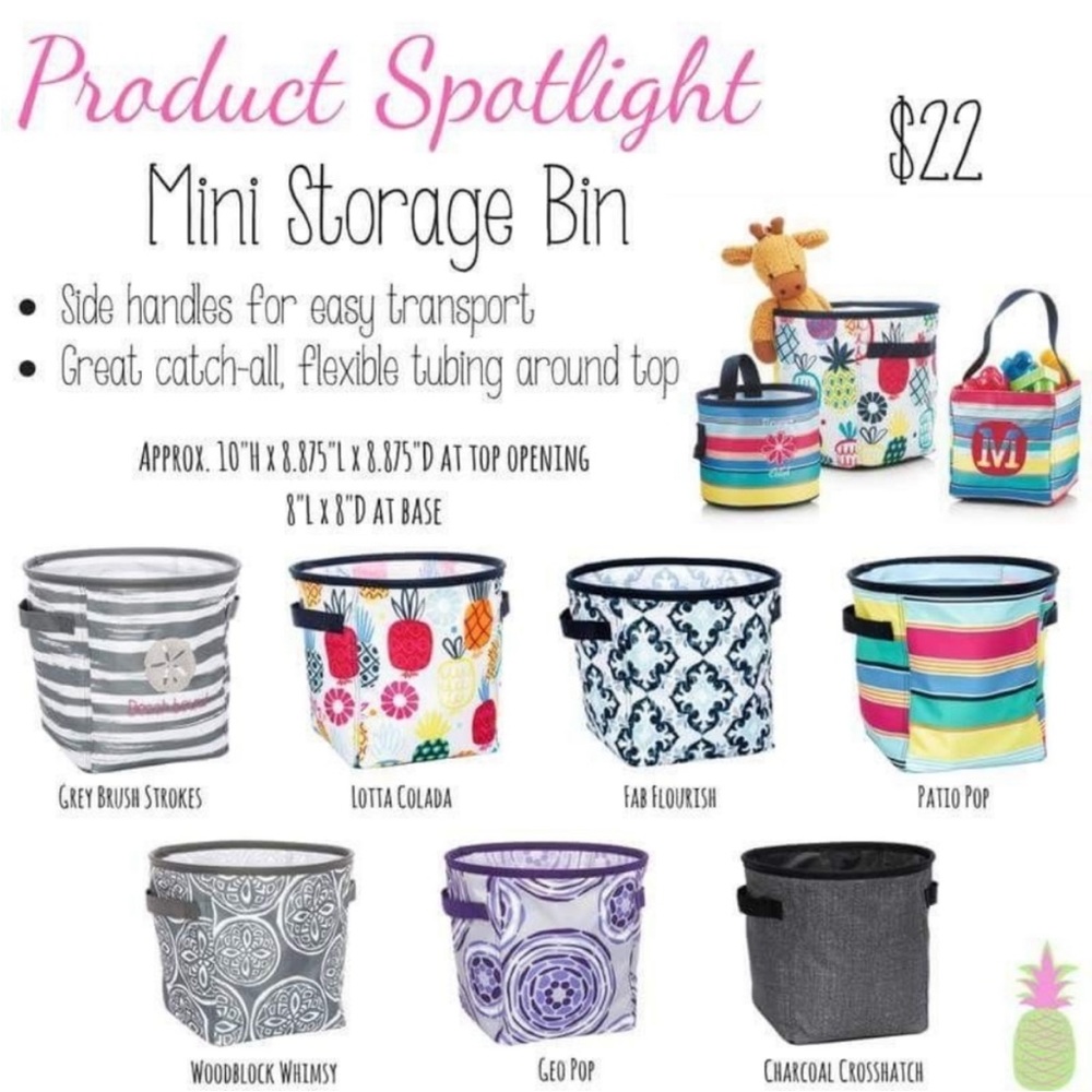 Mini Storage Bin